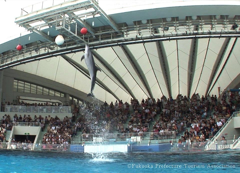 Marine World Uminonakamichi