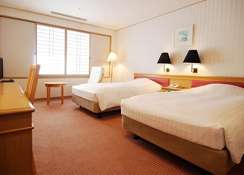 Dos camas individuales